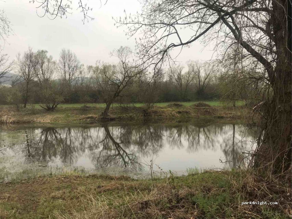 (747 92) Háj ve Slezsku - Poddubí — foto