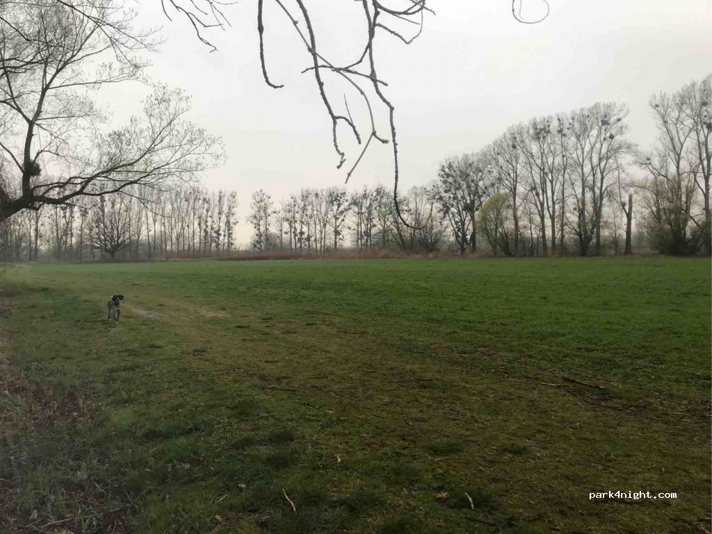 (747 92) Háj ve Slezsku - Poddubí — foto 2