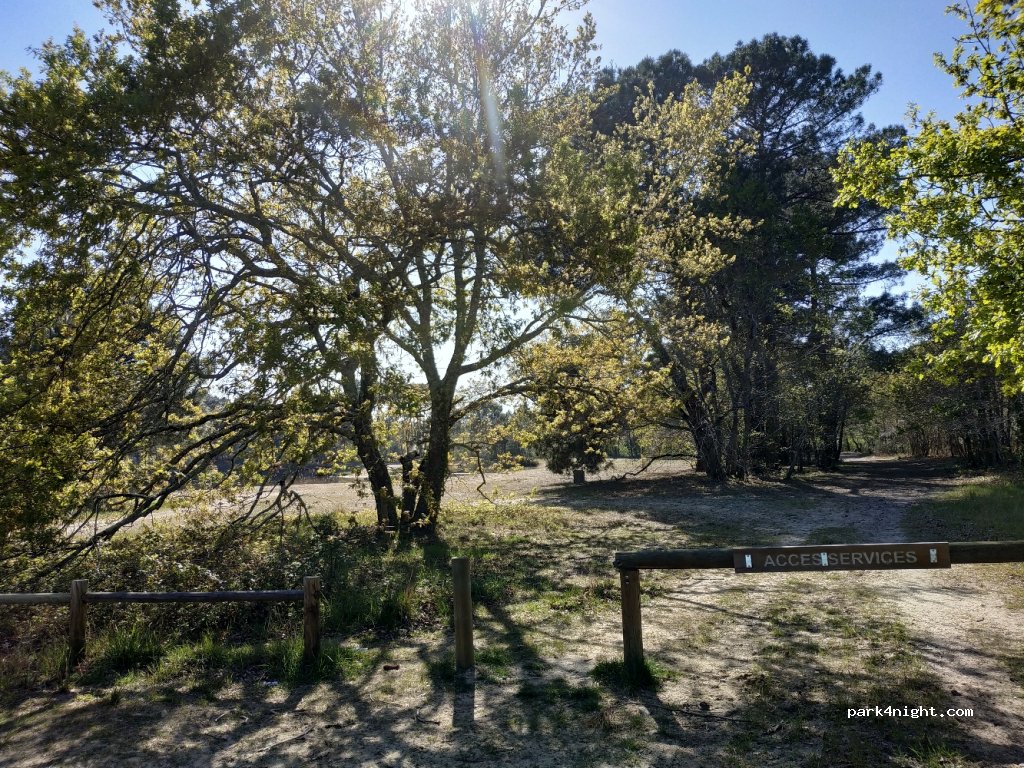 (33950) Lège-Cap-Ferret - 19 Rue des Pibales — foto 2