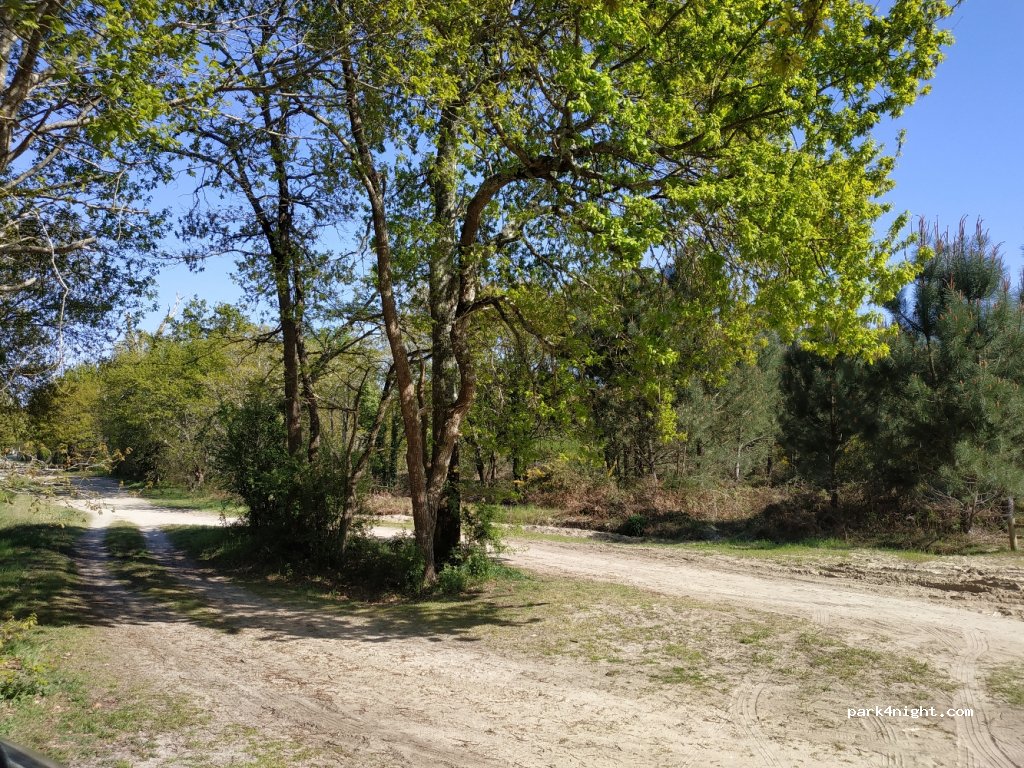 (33950) Lège-Cap-Ferret - 19 Rue des Pibales — foto 3