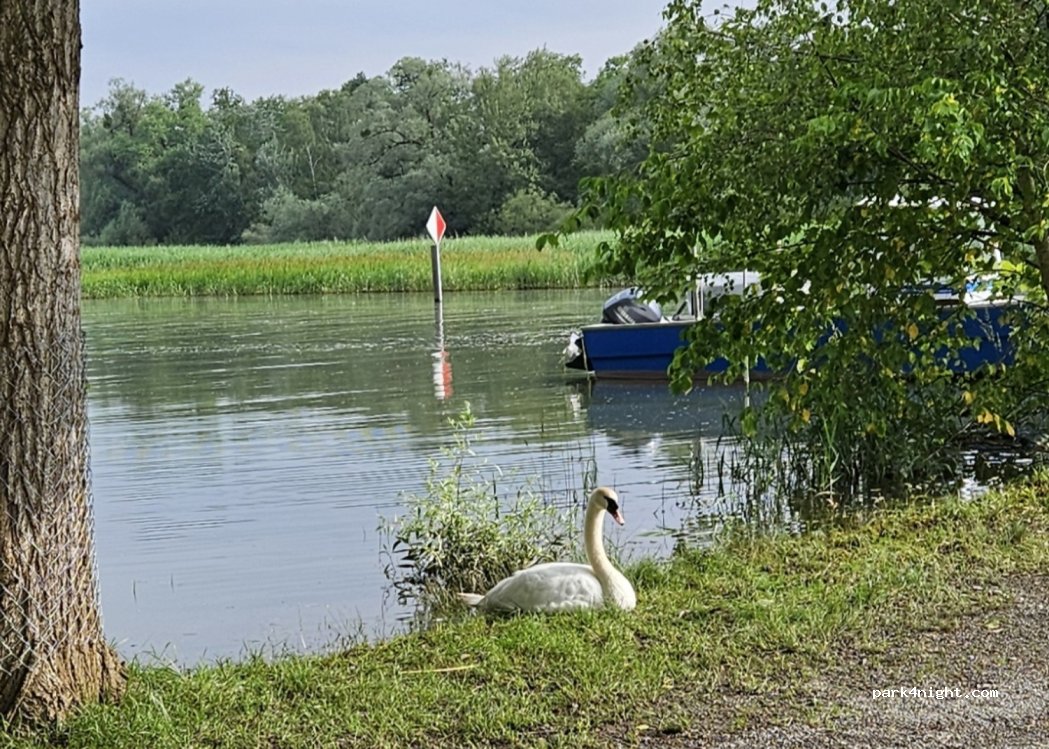 Camping Idyll — foto 3