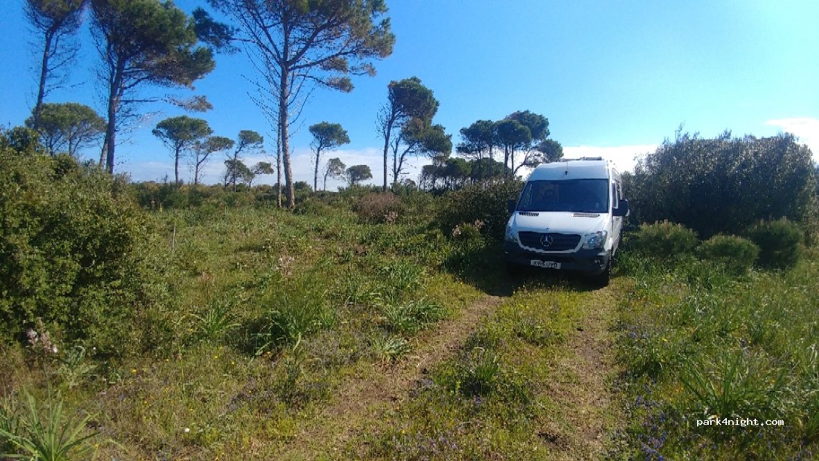 (71010) Cagnano Varano - — foto