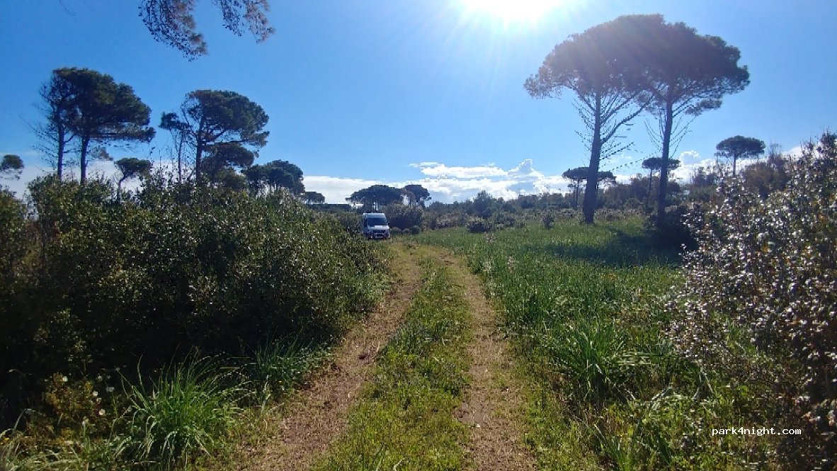 (71010) Cagnano Varano - — foto 2