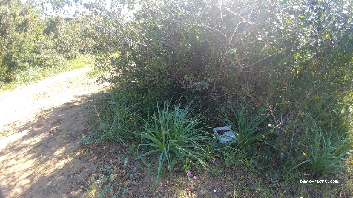 (71010) Cagnano Varano - — foto 4