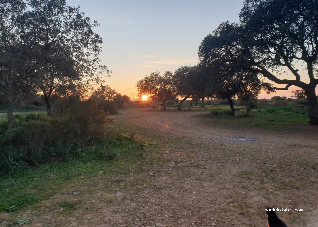 (14130) Guadalcázar - Unnamed Road — foto 4