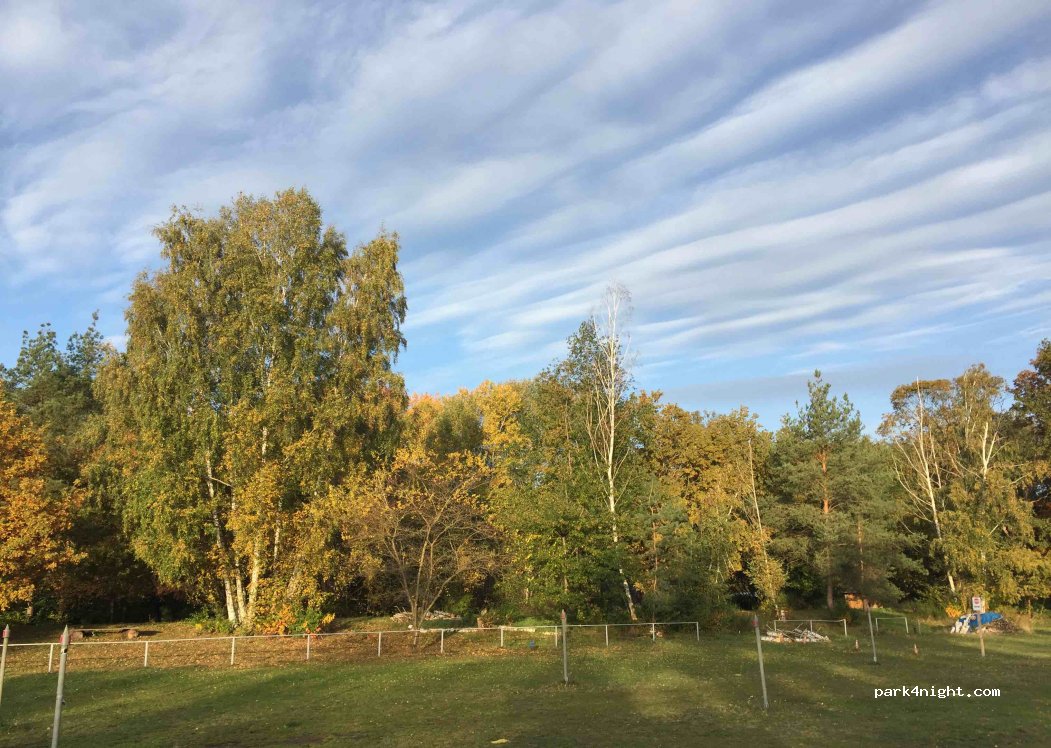 (06862) Dessau-Roßlau - 17 Hermann-Wäschke-Weg — foto 3