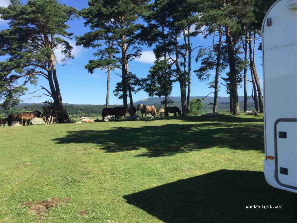 (31810) Monte Común de las Améscoas/Ameskoa me - Lizarra - Olazti / Estella - Olatzagutia — foto 2