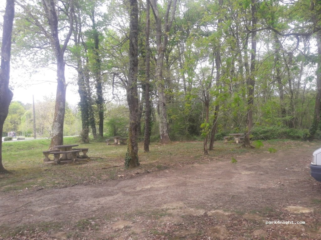 (64370) Hagetaubin - D31 — foto
