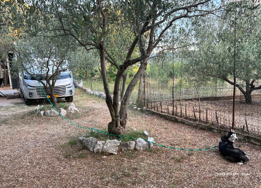 Camp Marina — foto 4