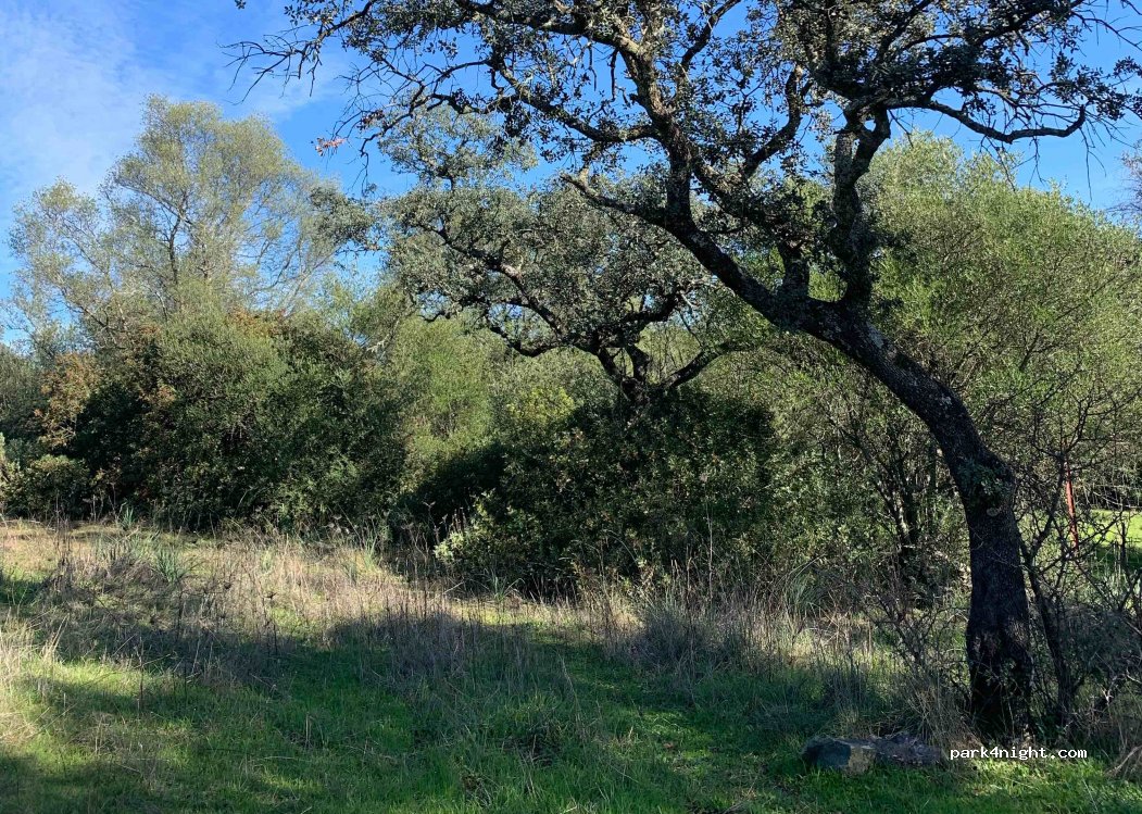 (14720) Almodóvar del Río - CP-159 — foto