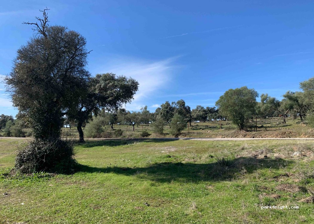 (14720) Almodóvar del Río - CP-159 — foto 2