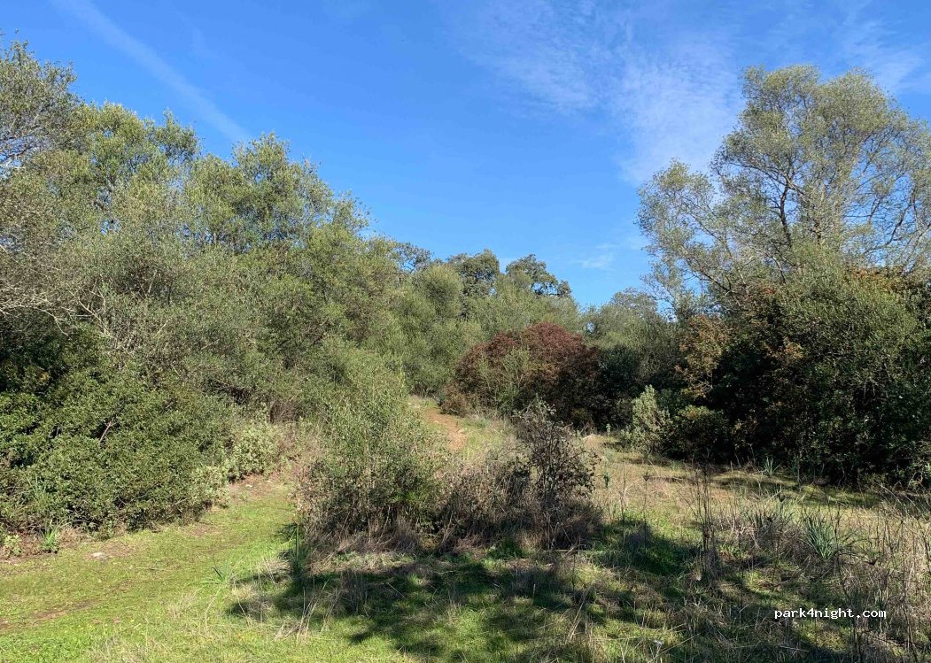 (14720) Almodóvar del Río - CP-159 — foto 3