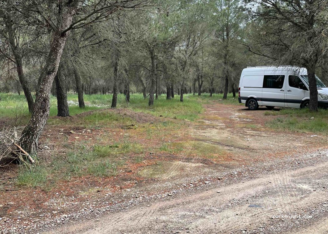 (22283) Almudévar - Unnamed Road — foto 5