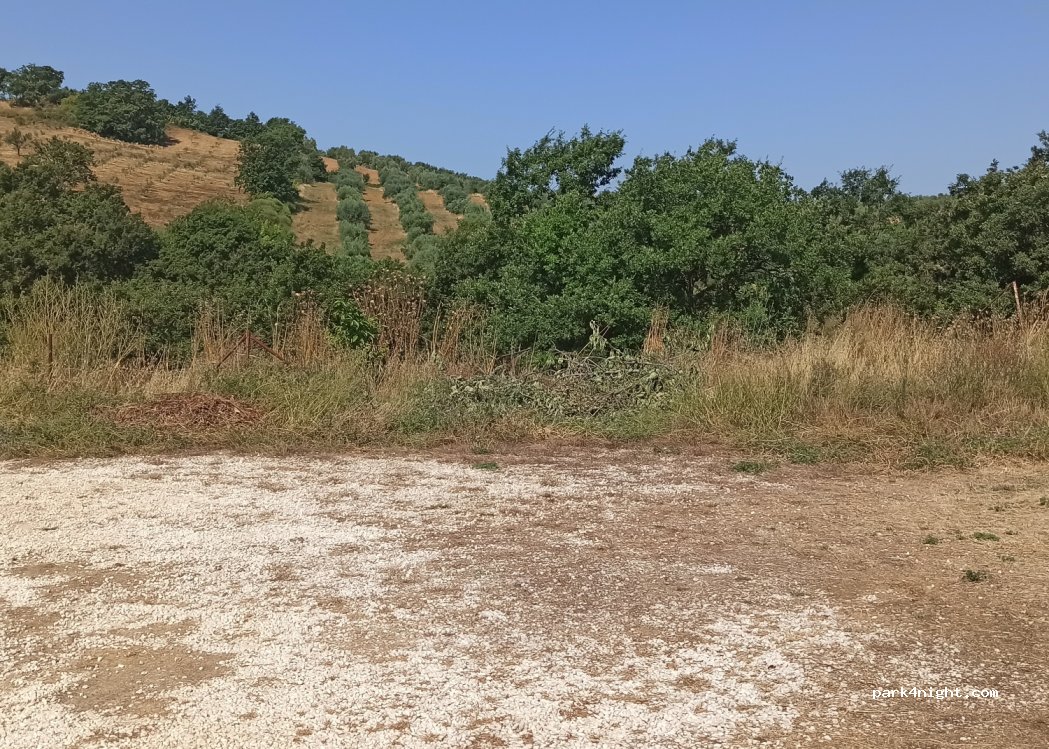 (58014) Montemerano GR - Unnamed Road — foto
