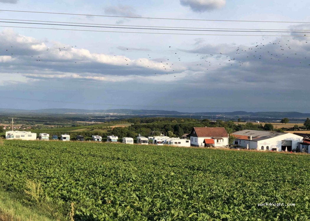 Weingut und Brennerei Mangold — foto 3