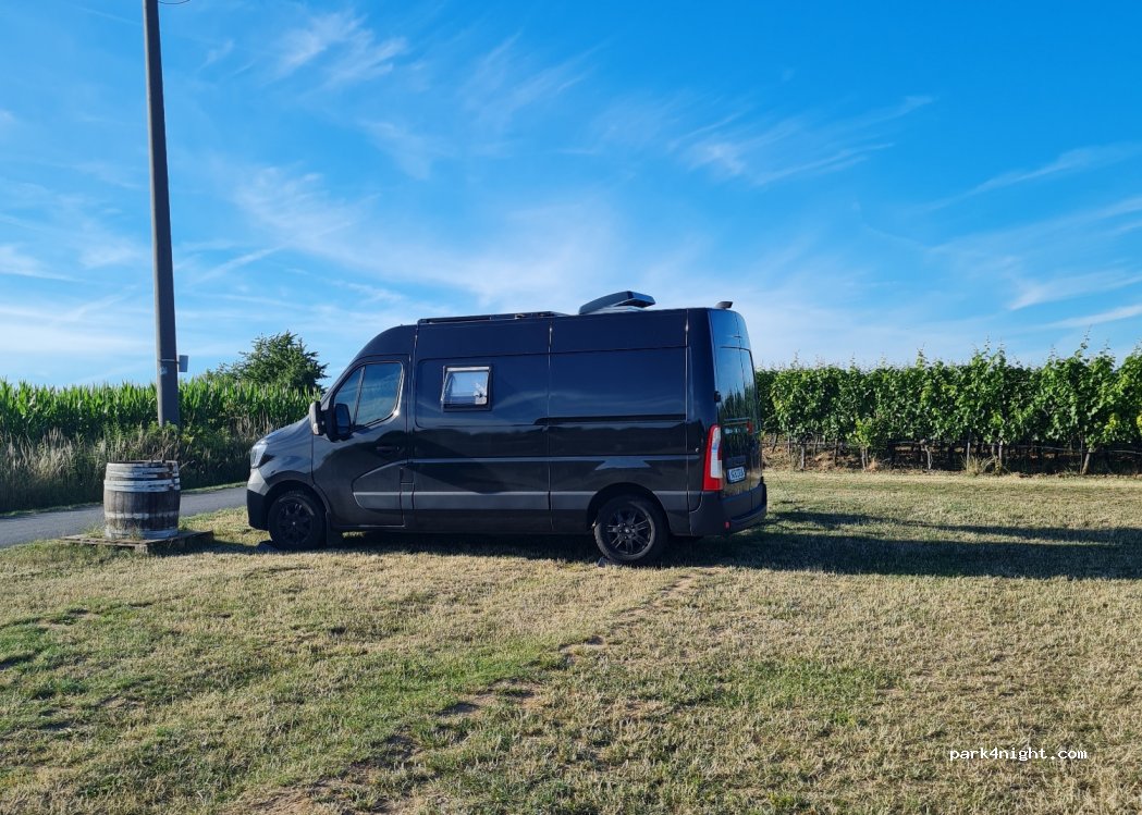 Weingut und Brennerei Mangold — foto 4