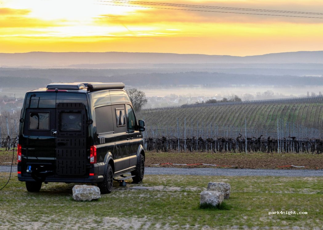 Weingut und Brennerei Mangold — foto 5