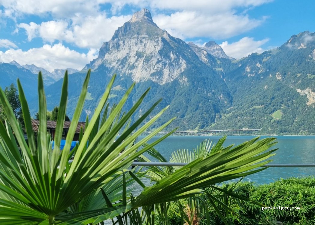 Windsurfing Urnersee — foto 3