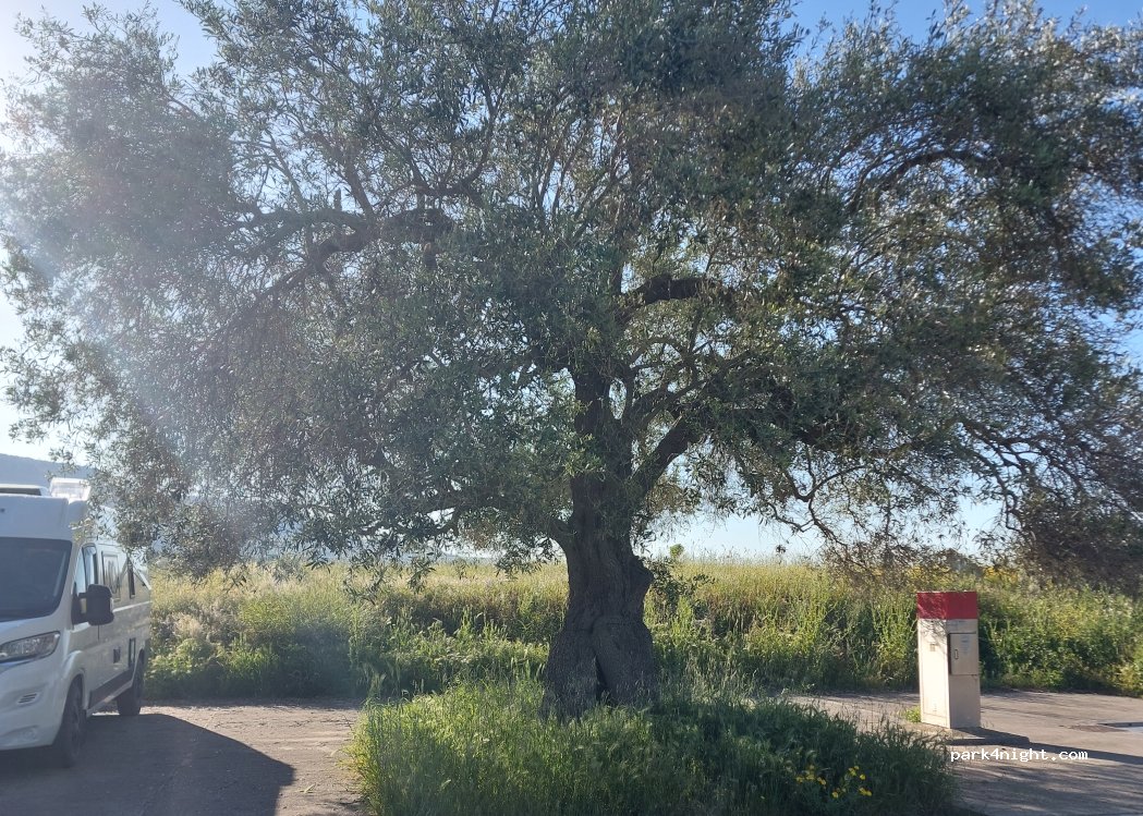 (09090) Sini - Via Argiolas — foto 5