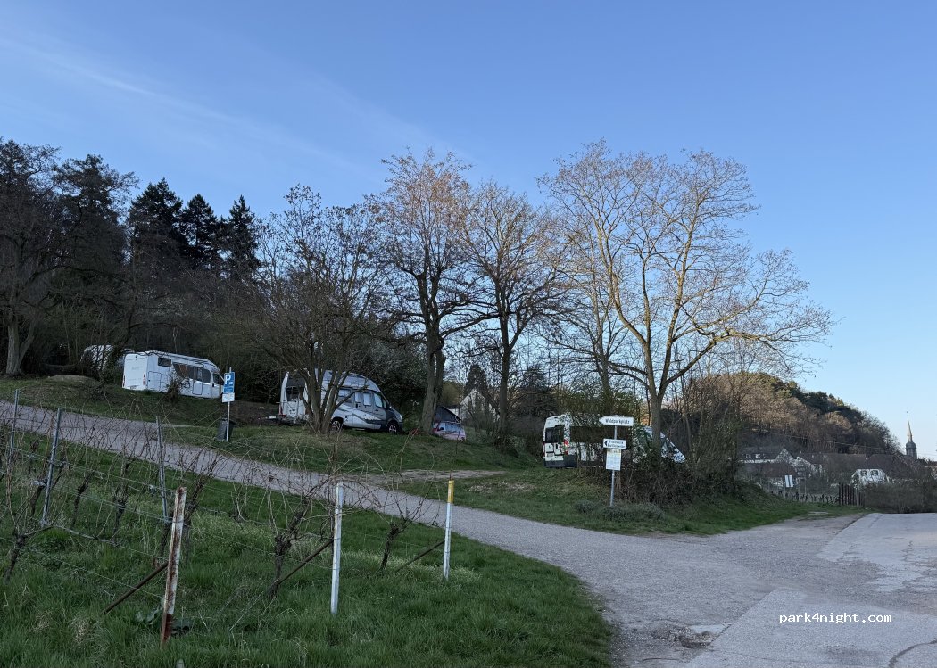 (76835) Gleisweiler - 18 Lindenallee — foto 5