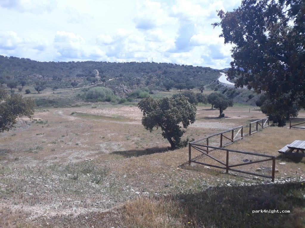 (10570) Salorino - N-521 — foto 3