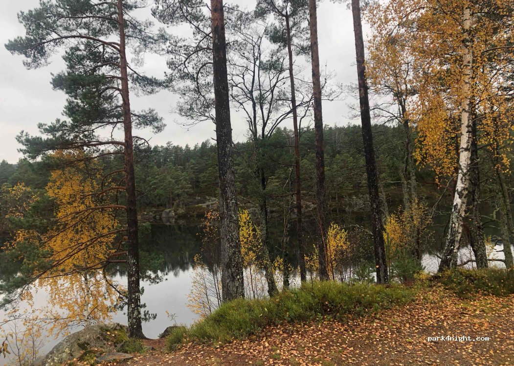 (4724)  - Primær Fylkesveg 403 — foto 4