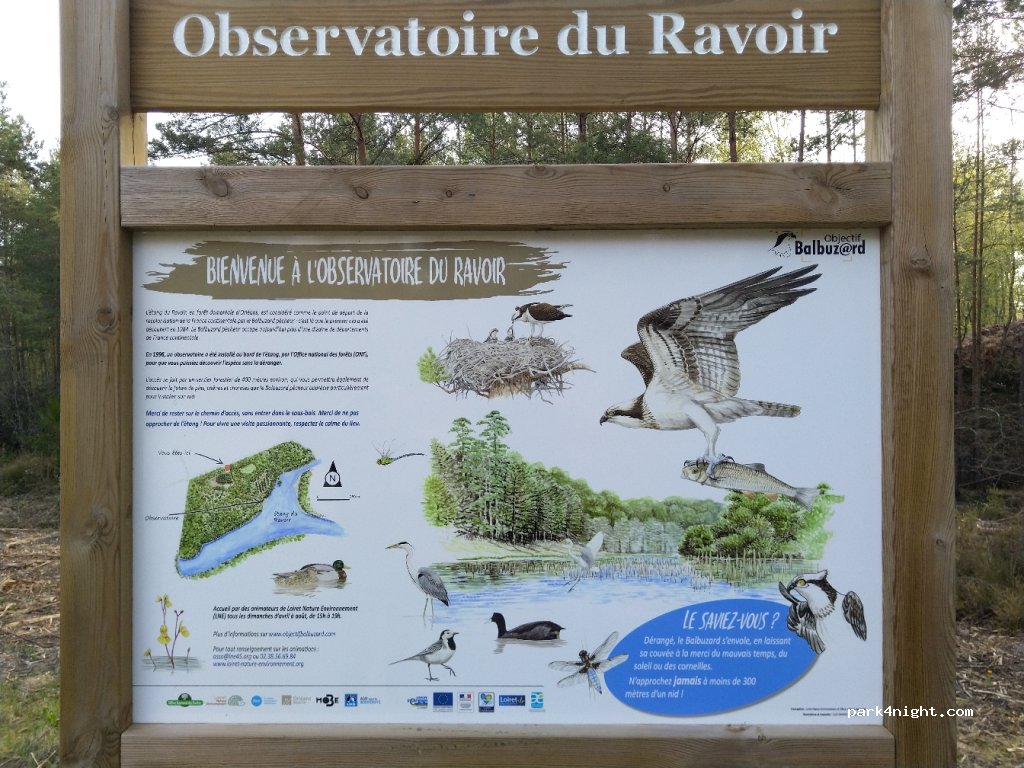 (45460) Les Bordes - Route de Ravoir — foto 3