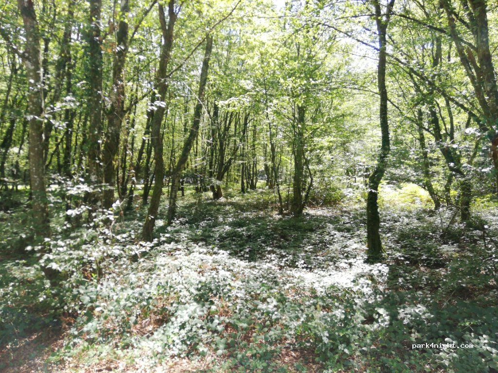 (01240) Certines - Autoroute des Titans — foto 3