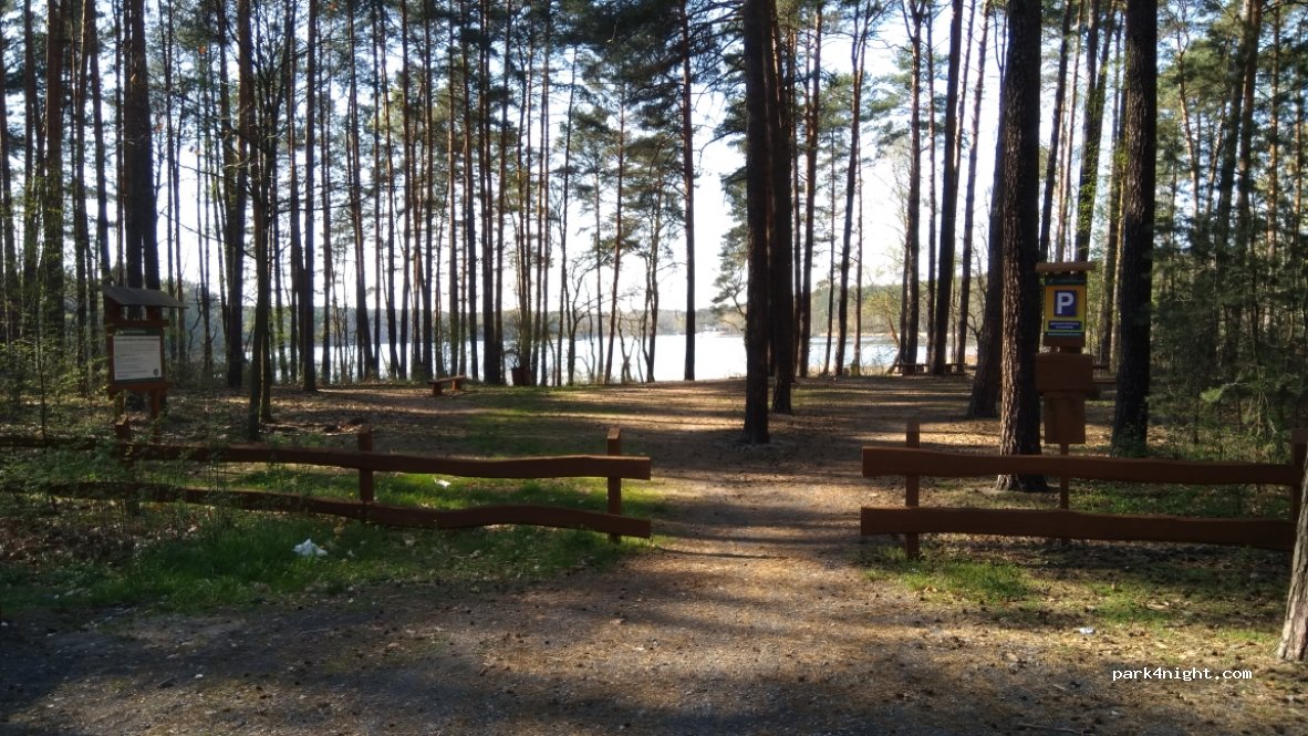 (66-615) Dabie Lubuskie - Spacerowa — foto