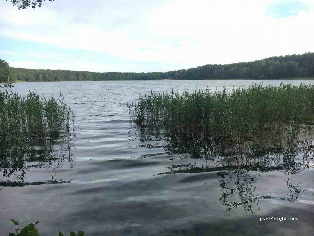 (66-615) Dabie Lubuskie - Spacerowa — foto 2