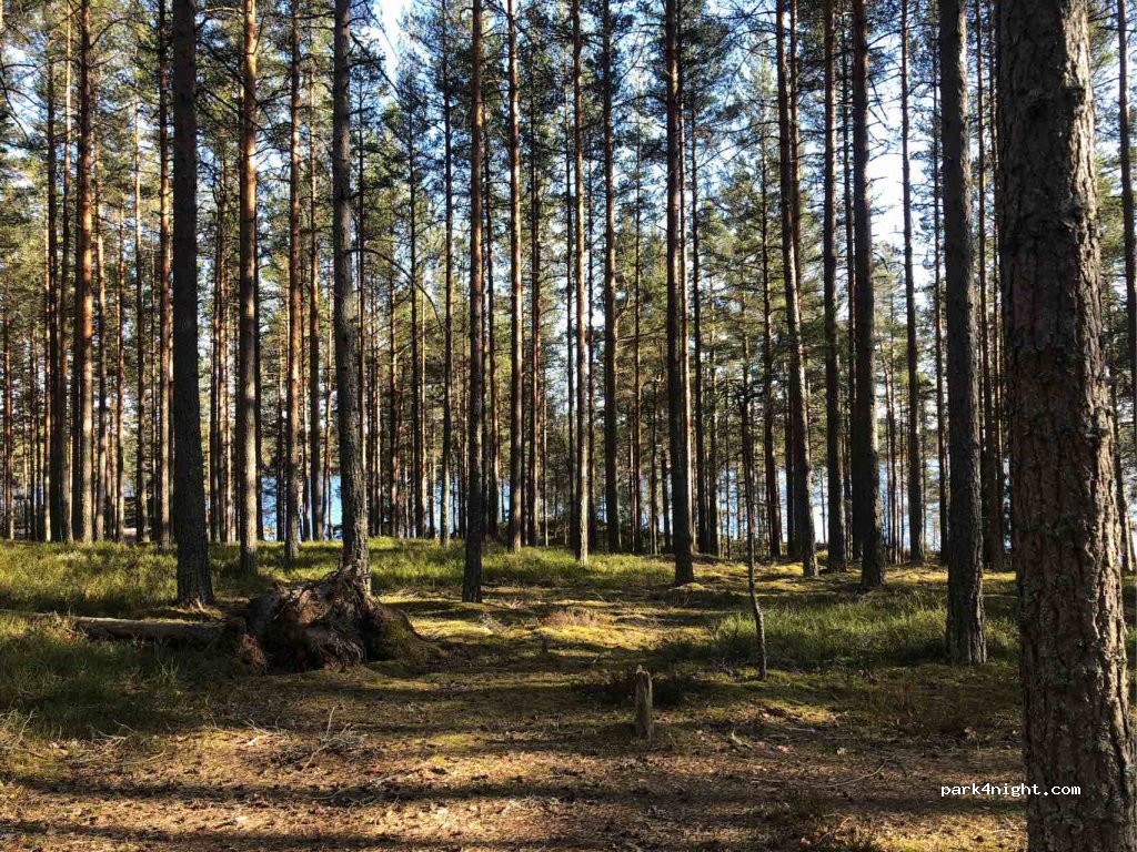 (566 92) Habo - Unnamed Road — foto