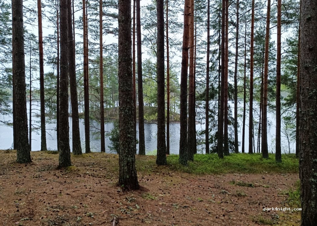 (566 92) Habo - Unnamed Road — foto 3