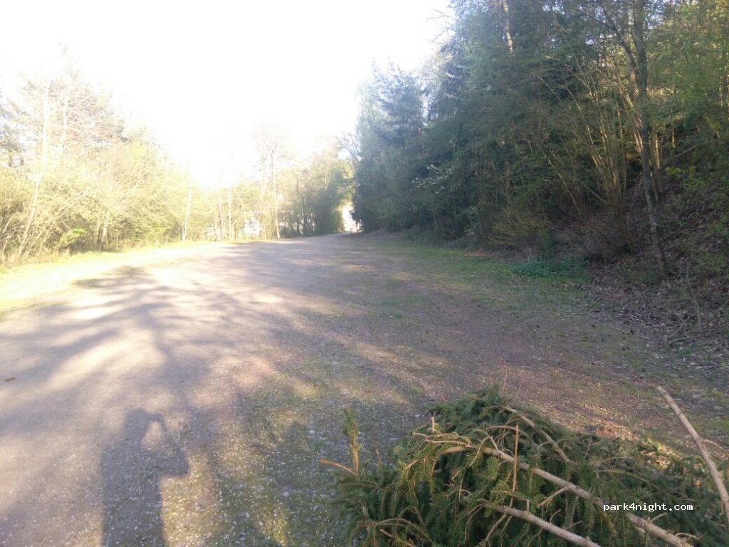 (54340) Leiwen - — foto