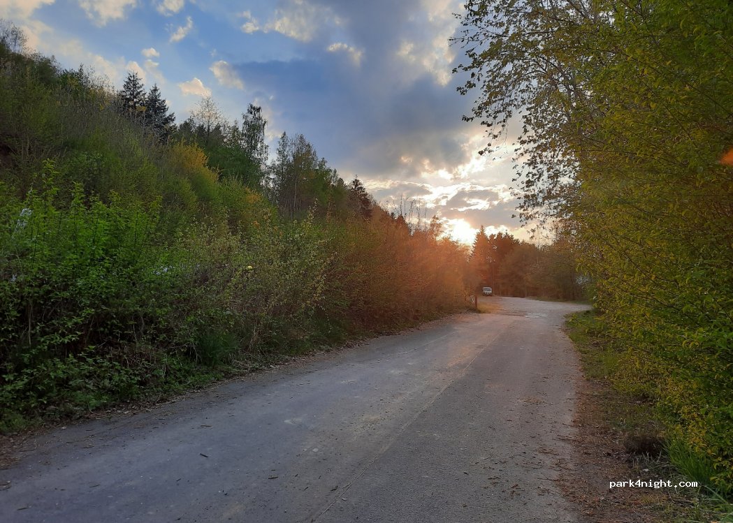 (54340) Leiwen - — foto 4