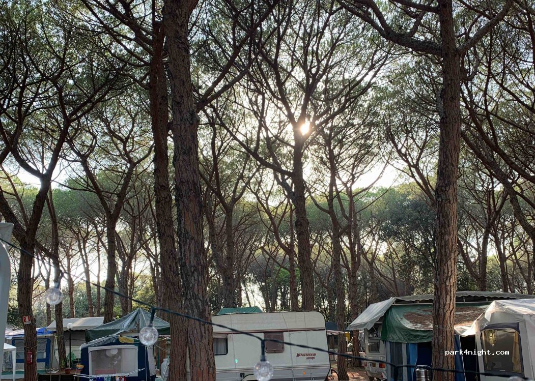 Camping Hawaii — foto 3