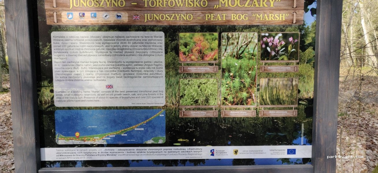 (82-103) Junoszyno - 96 Bursztynowa — foto