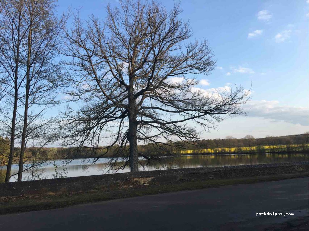 (61380) Soligny-la-Trappe - D251 — foto