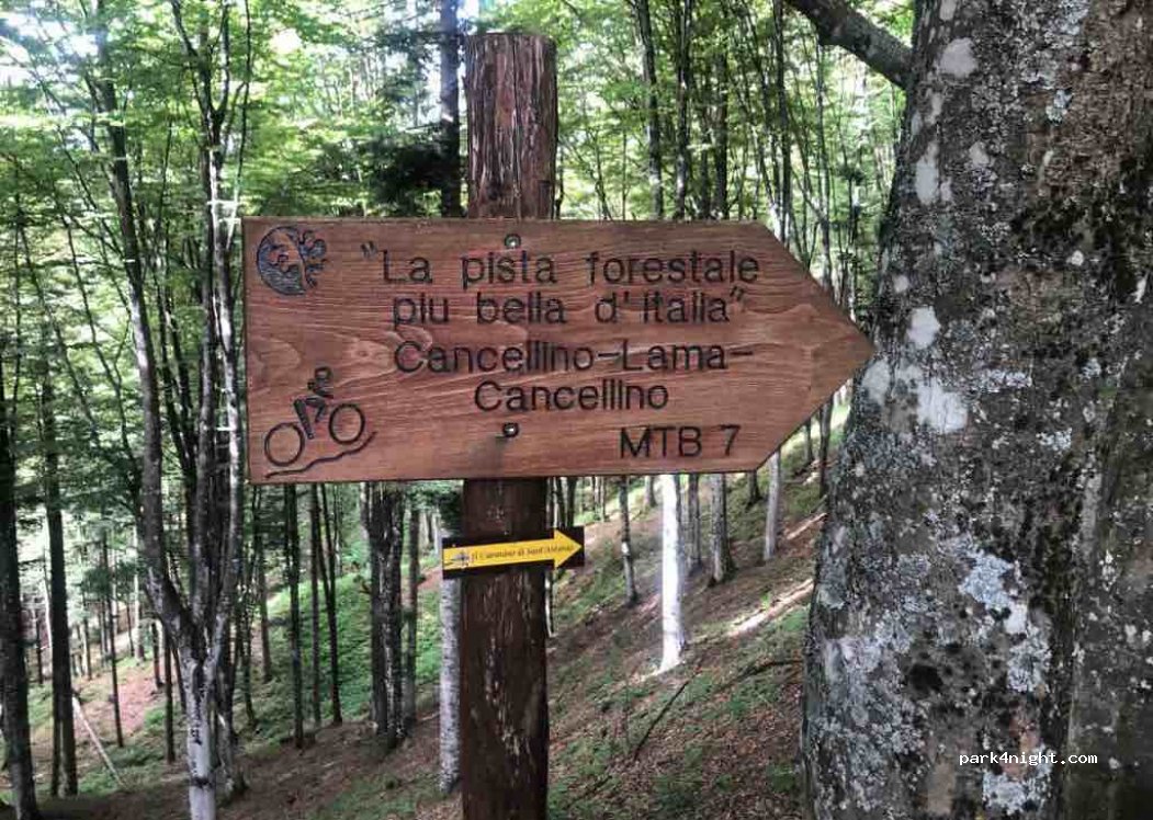 (52014) Poppi AR - Località Cancellino — foto 3