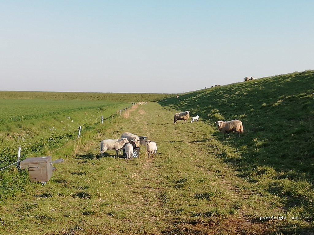 () Ouddorp - Zuidweg — foto 2