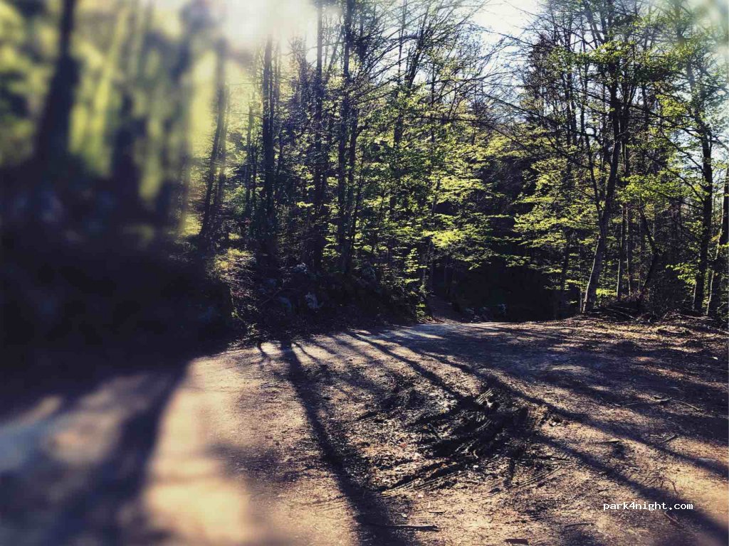 (1386) Grahovo - Unnamed Road — foto 2