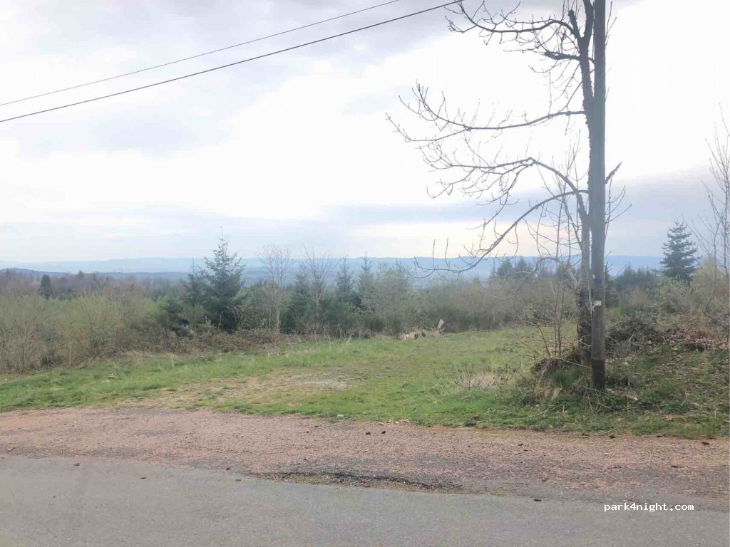 (42430) Champoly - Bois d'Urfé — foto 3