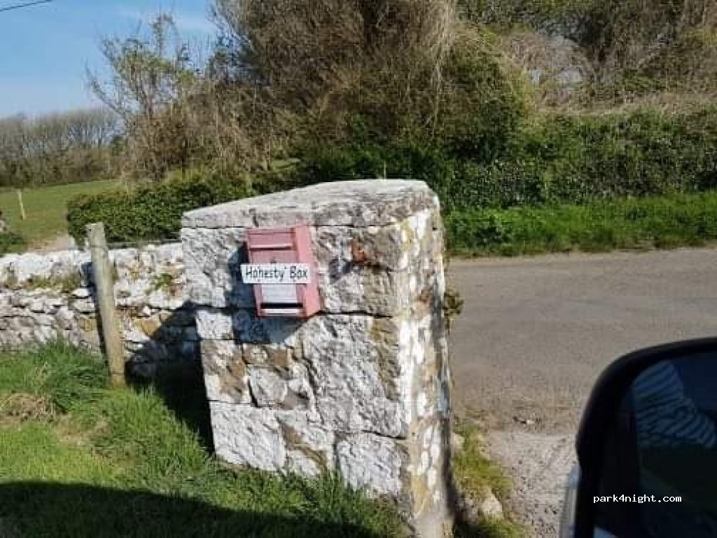 Bosherton Camping — foto 3