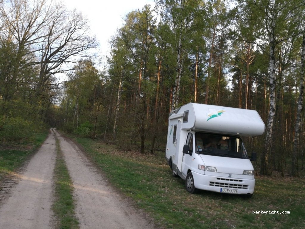 (59) Wilkocin - Unnamed Road — foto