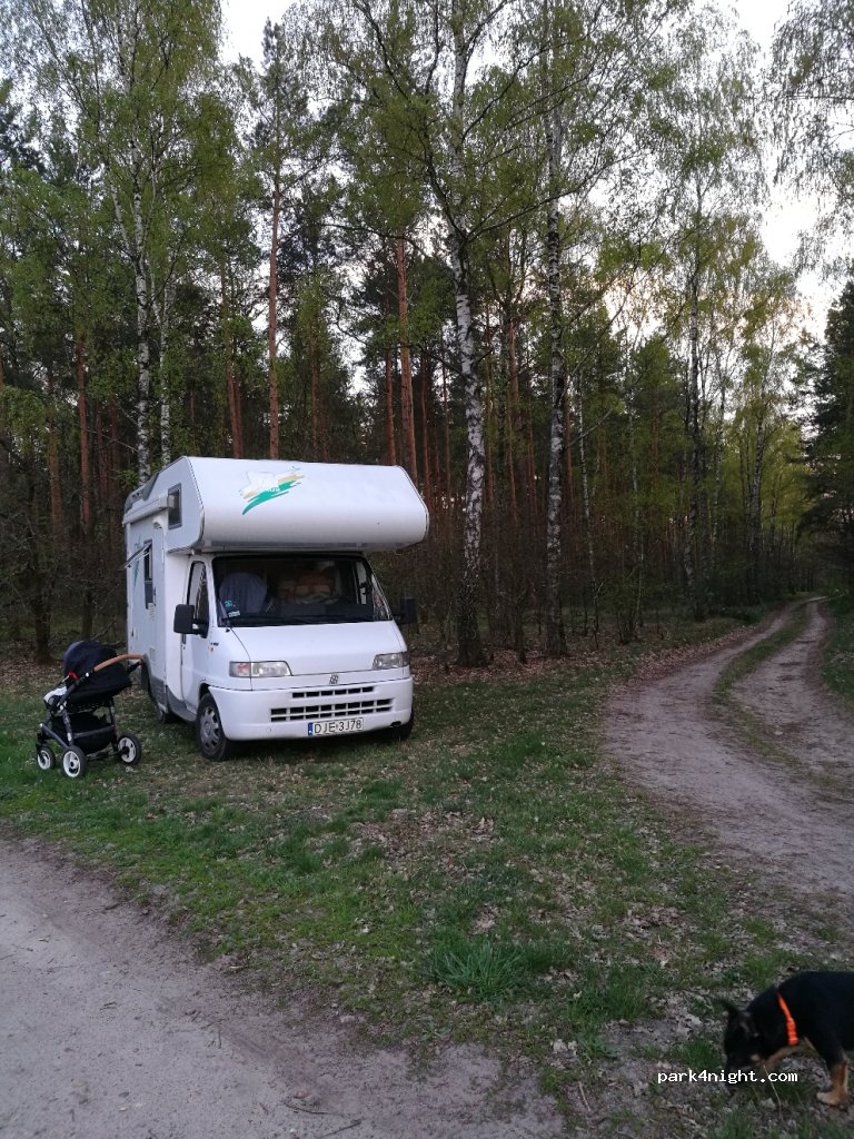 (59) Wilkocin - Unnamed Road — foto 2