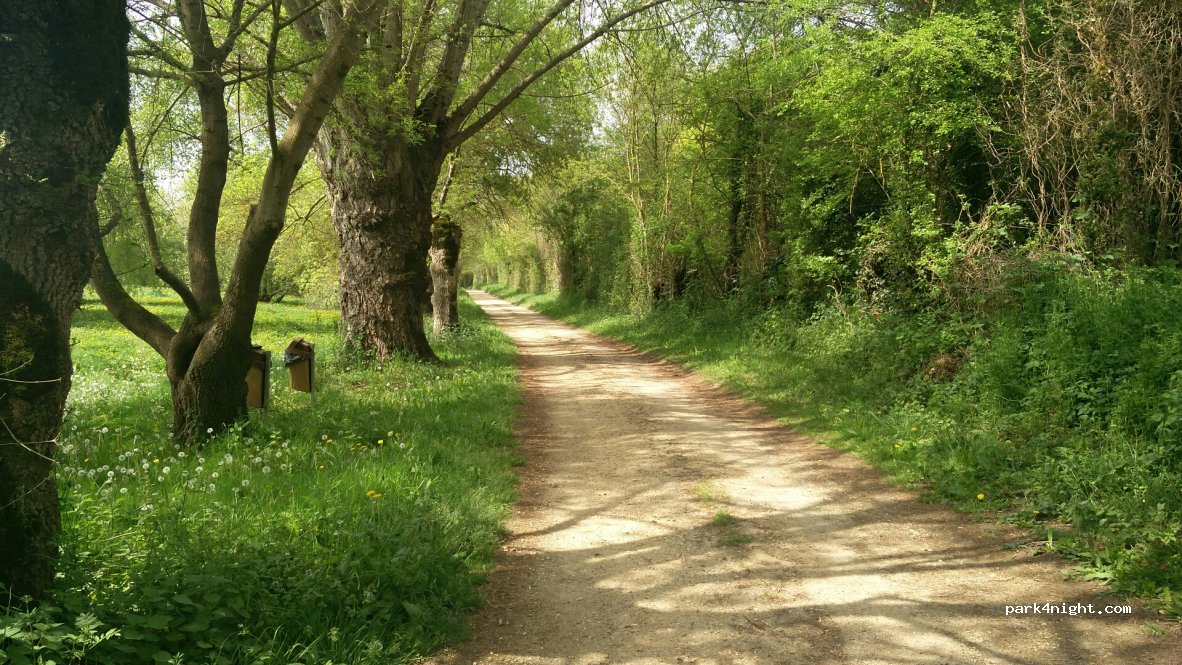 (49140) Soucelles - 23 Route des Clos du Vau — foto