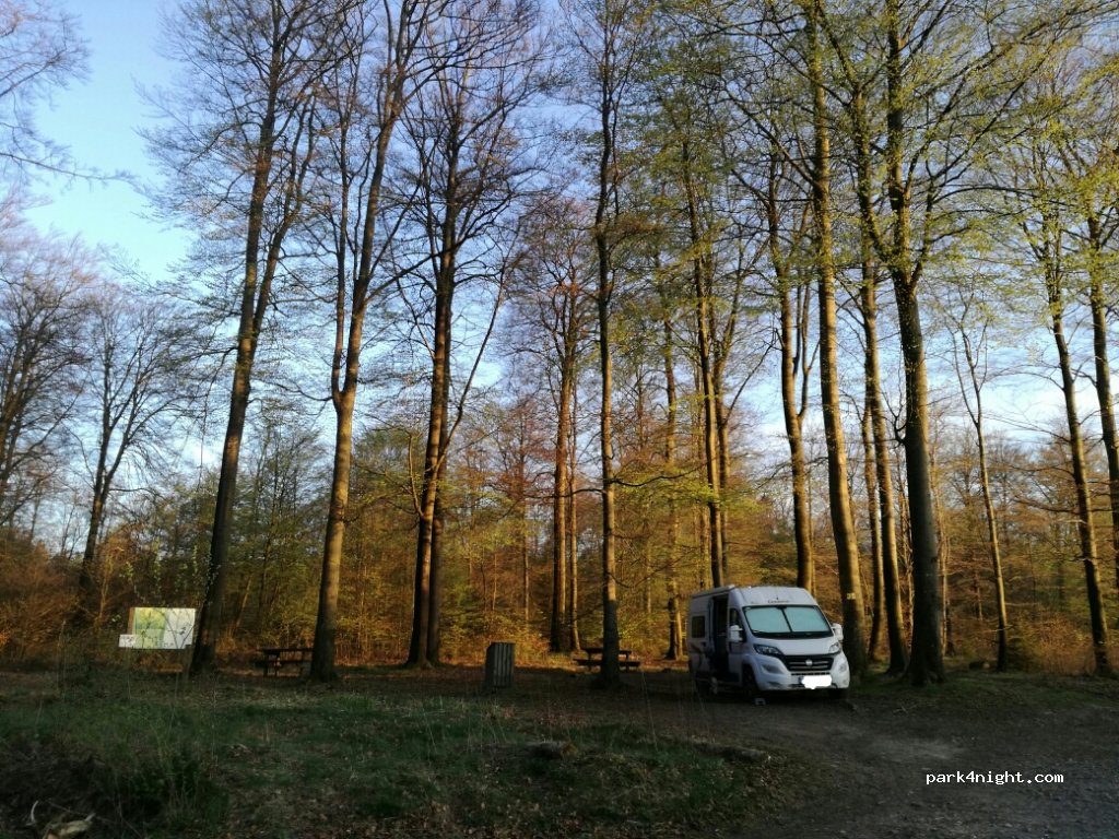 (6982) La Roche-en-Ardenne - N89 — foto 2