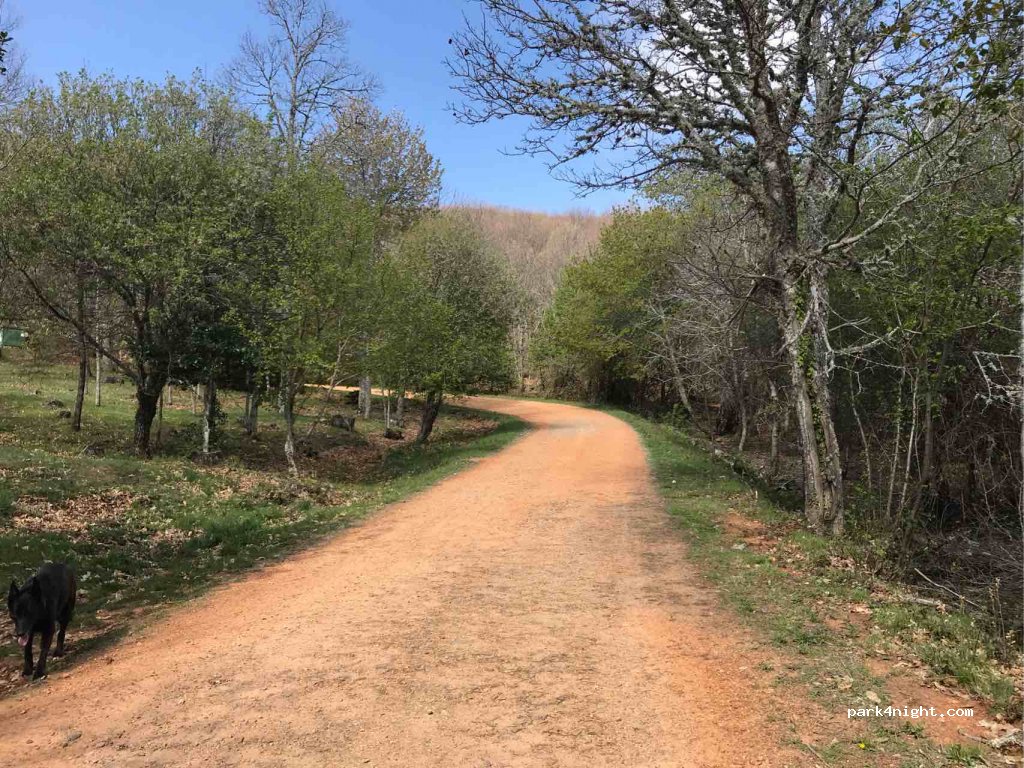 (37760) Linares de Riofrío - Unnamed Road — foto 2