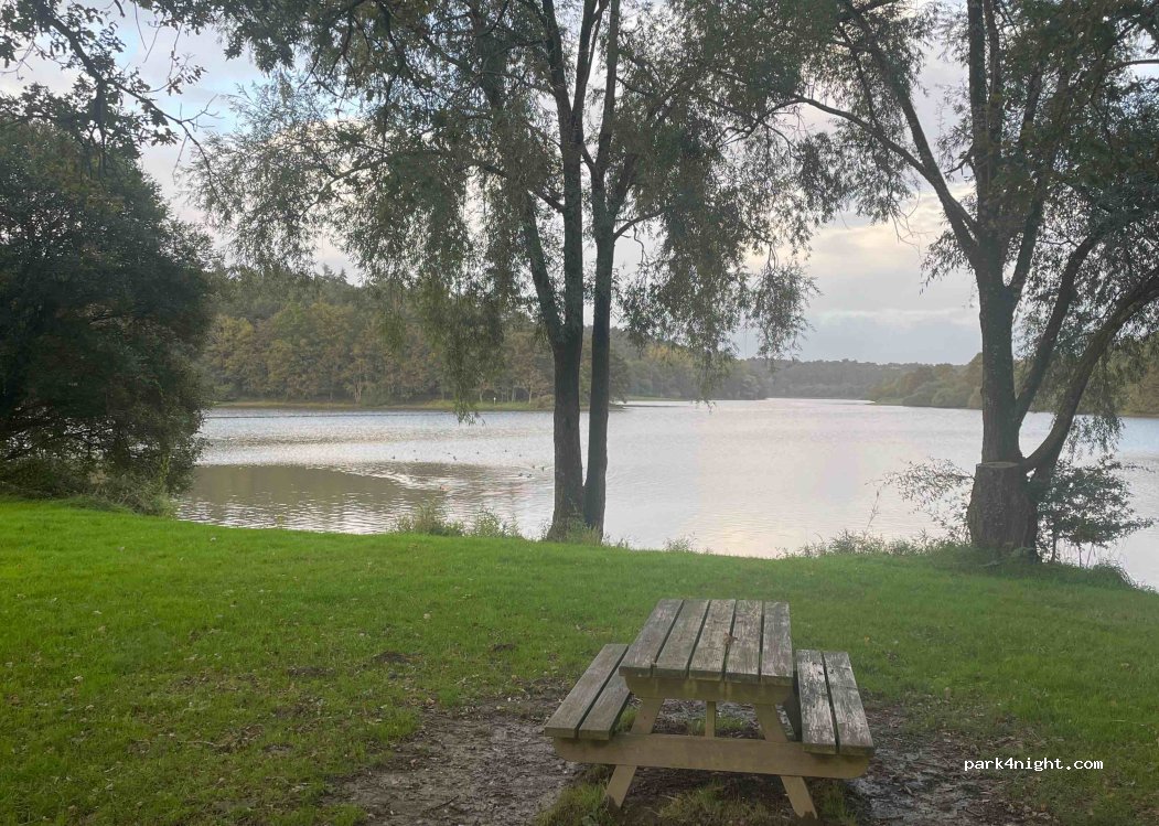 (85150) Saint-Julien-des-Landes - 2 Rue du Sentier — foto 4