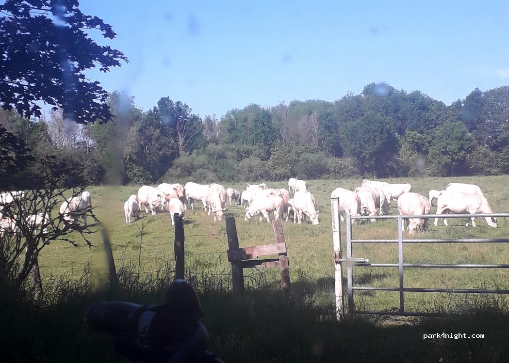 (89480) Crain - 172 La Grange Folle — foto 3