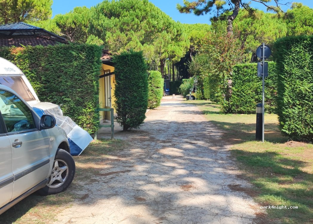 Camping Dune — foto 4